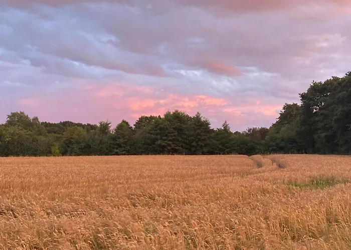 Holiday home Letniskowe Magnat 700m Od Morza! Rusinowo (Slawno)